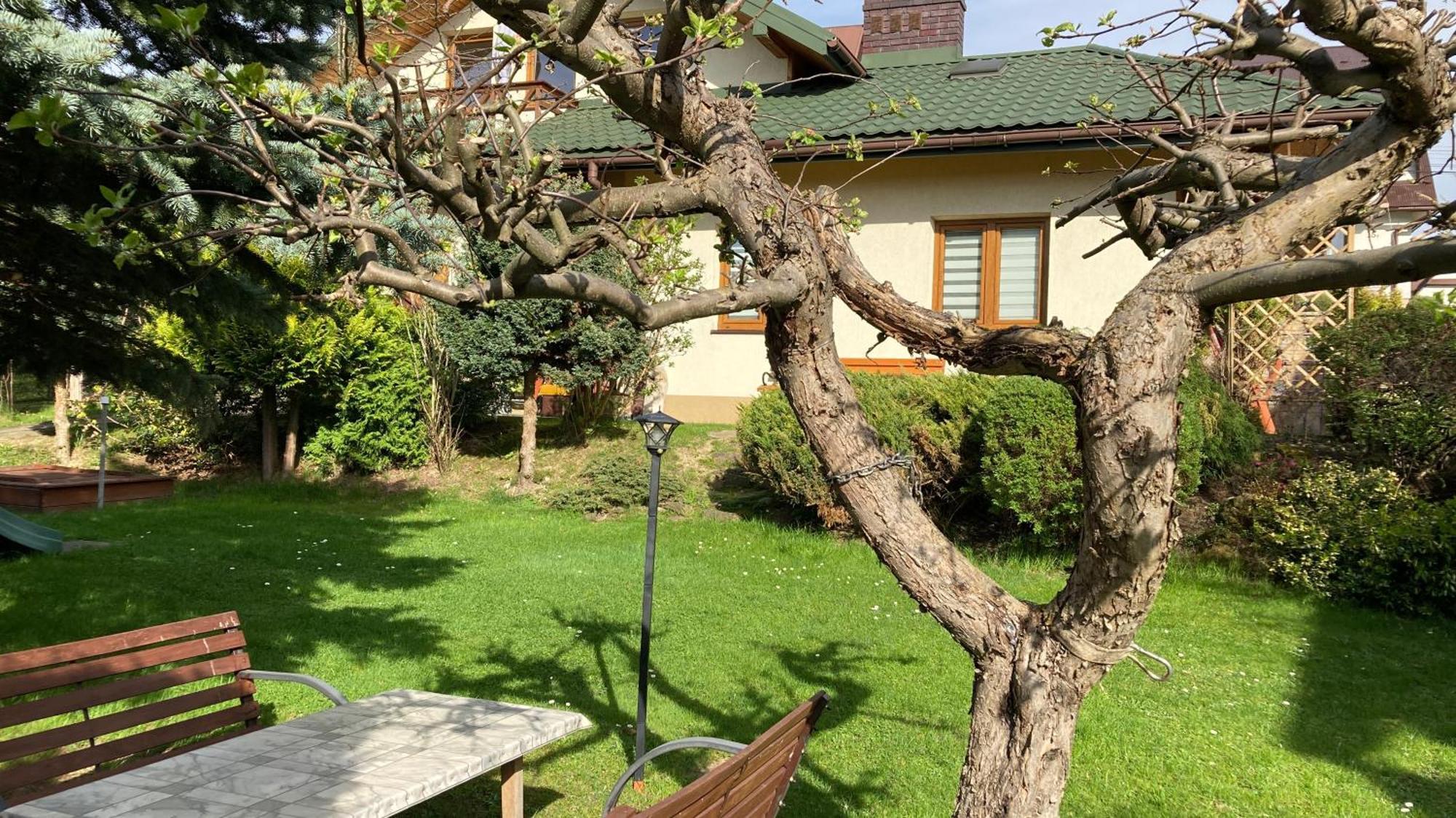 Apartamenty-Studio Noclegi Wczasy Wakacje Ferie - Pobyty Rodzinne Rabka-Zdrój Exterior foto